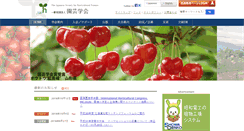 Desktop Screenshot of jshs.jp
